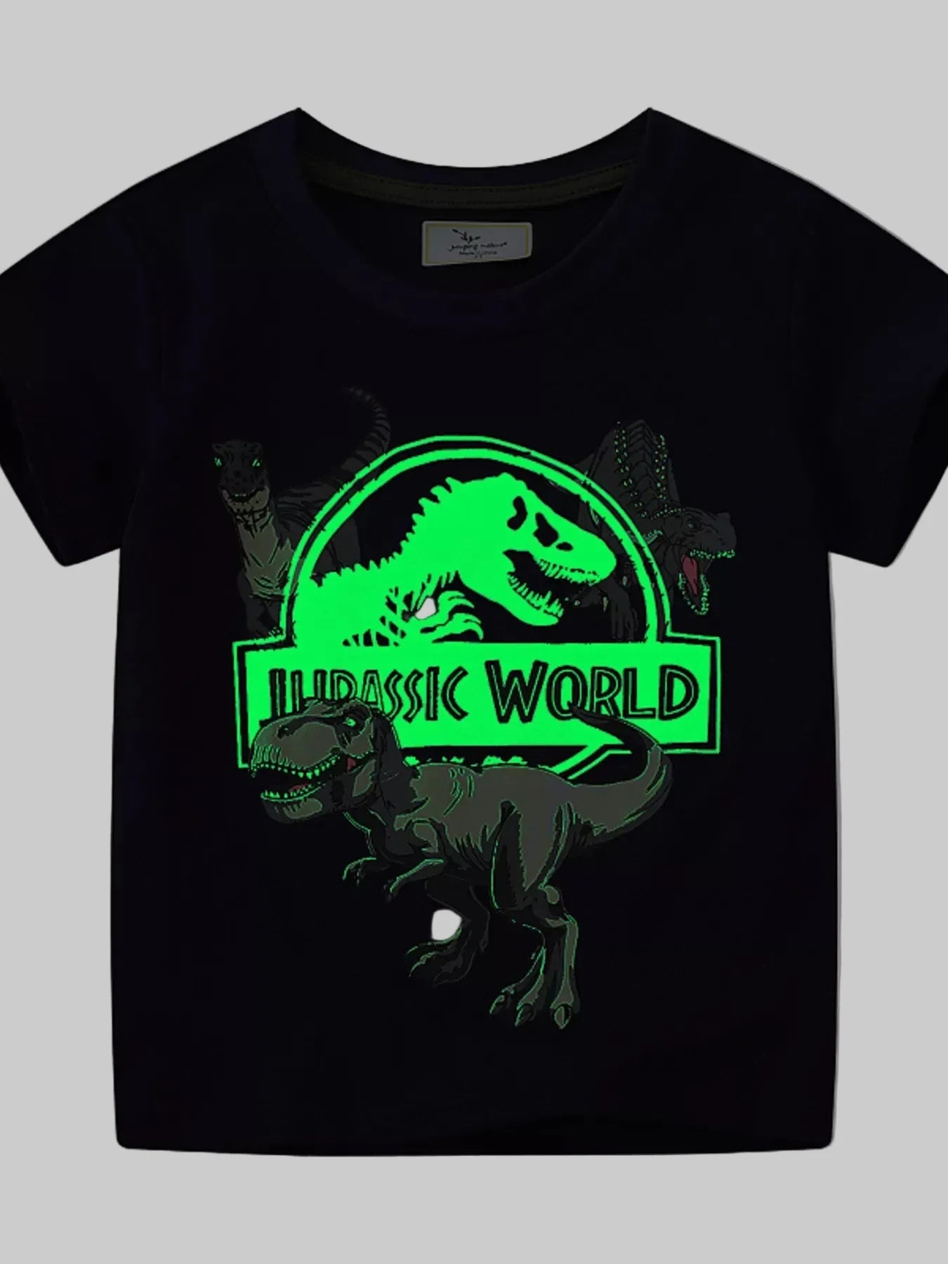 Toddler Boys Jurassic World Graphic Short Sleeve T-Shirt