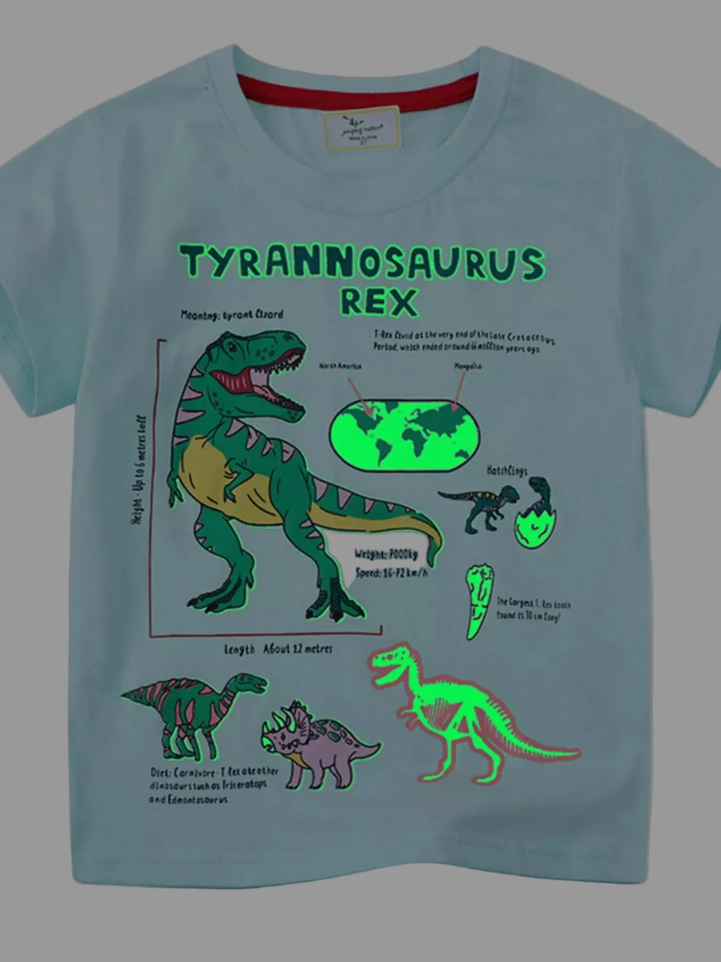 Toddler Boys Dinosaur Graphic Short Sleeve T-Shirt